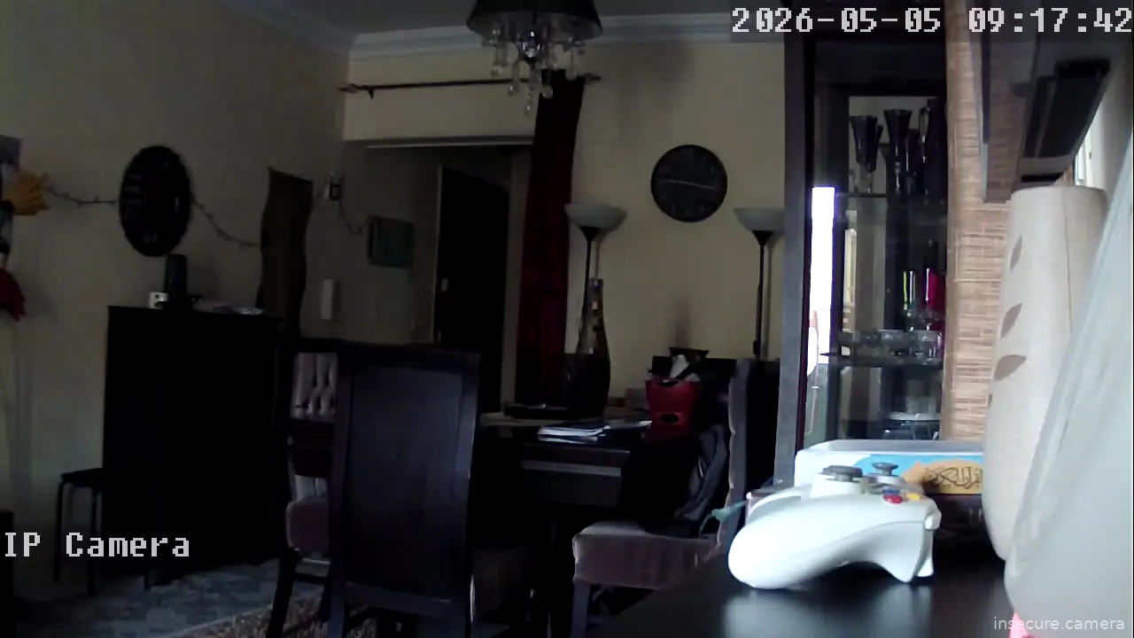 Camera in Egypt