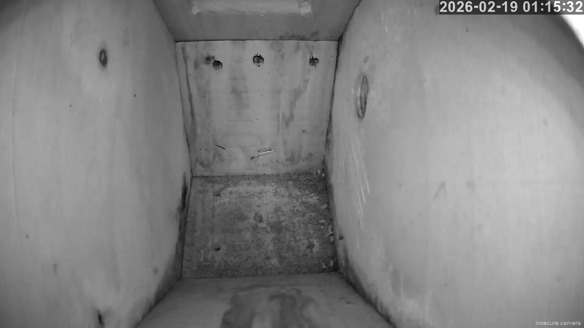 Camera in United Kingdom