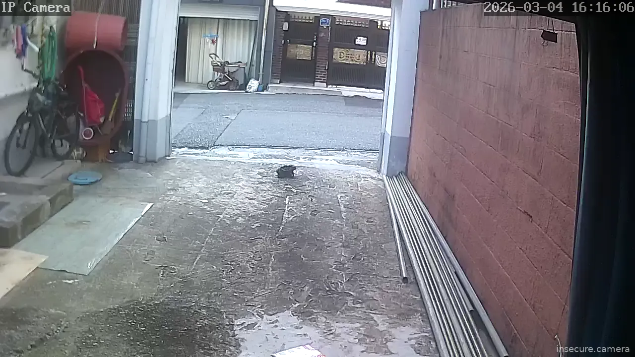 Camera in South Korea