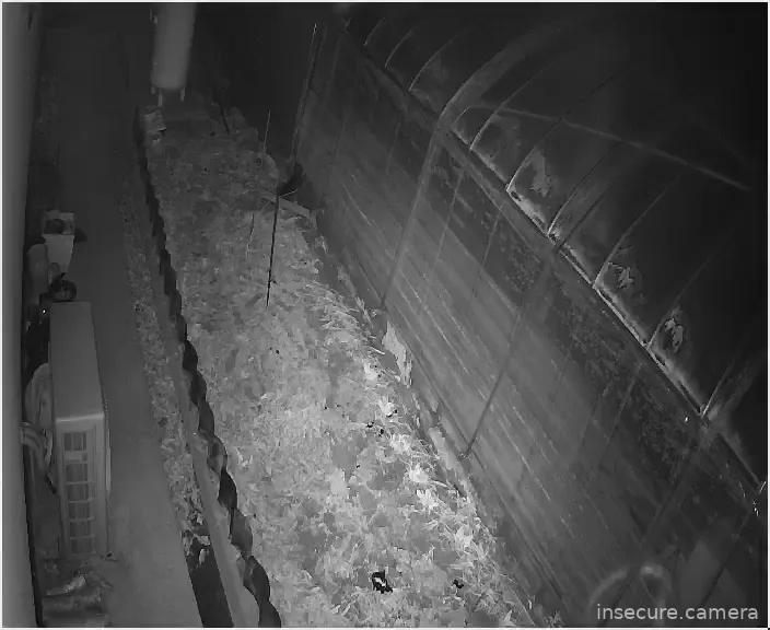 Capture from Mar 19, 2026 at 04:14 PM