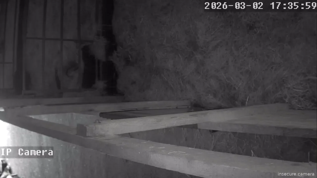 Capture from Mar 02, 2026 at 04:36 PM