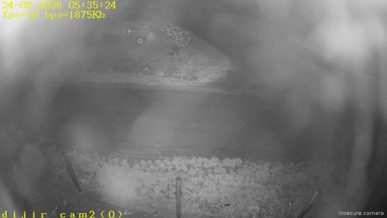 Capture from Feb 24, 2026 at 03:35 AM