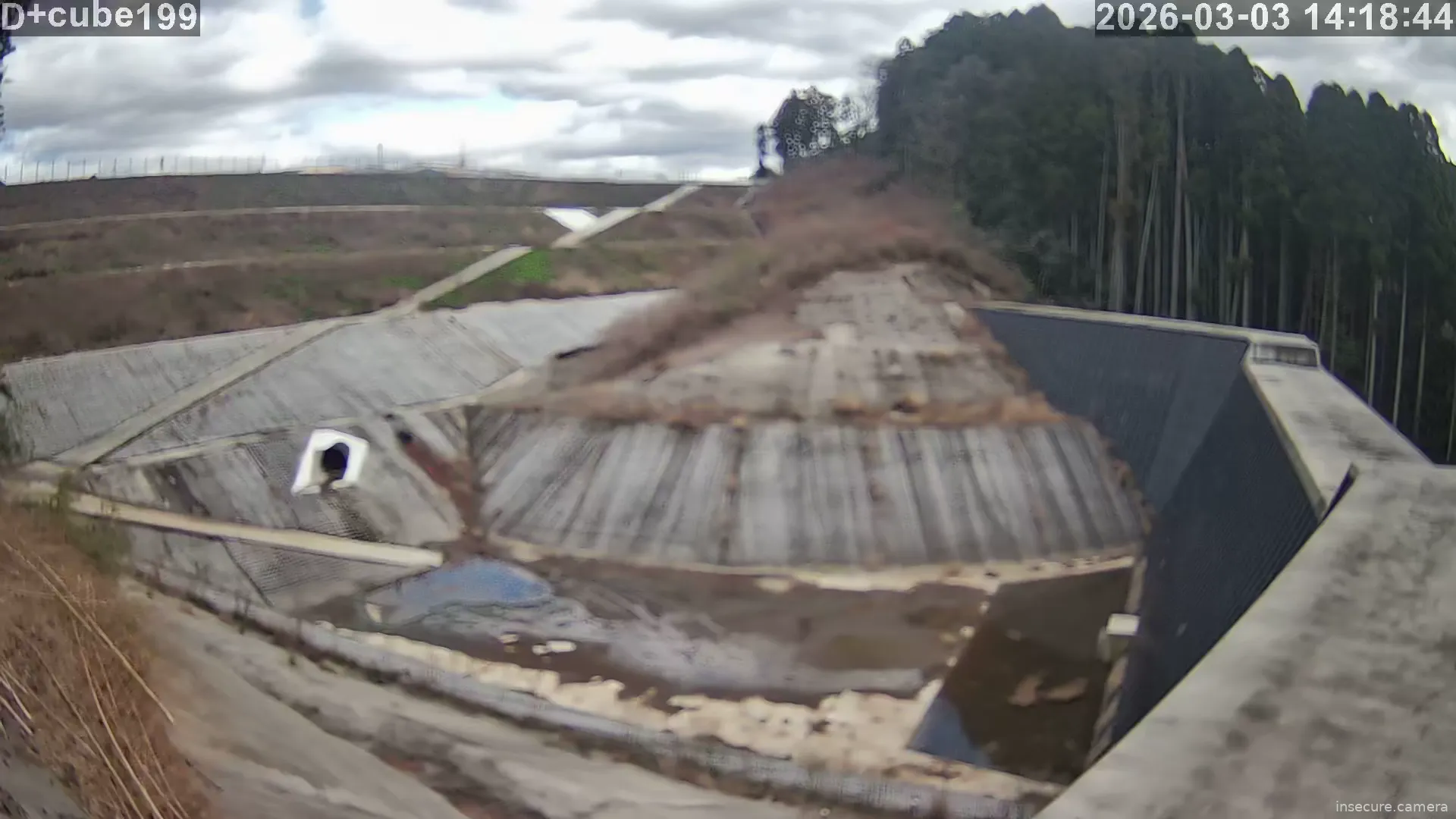 Capture from Mar 03, 2026 at 05:19 AM