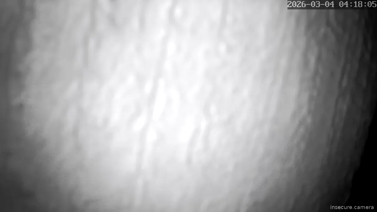 Capture from Mar 04, 2026 at 03:18 AM