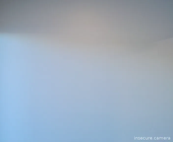 Camera in United States