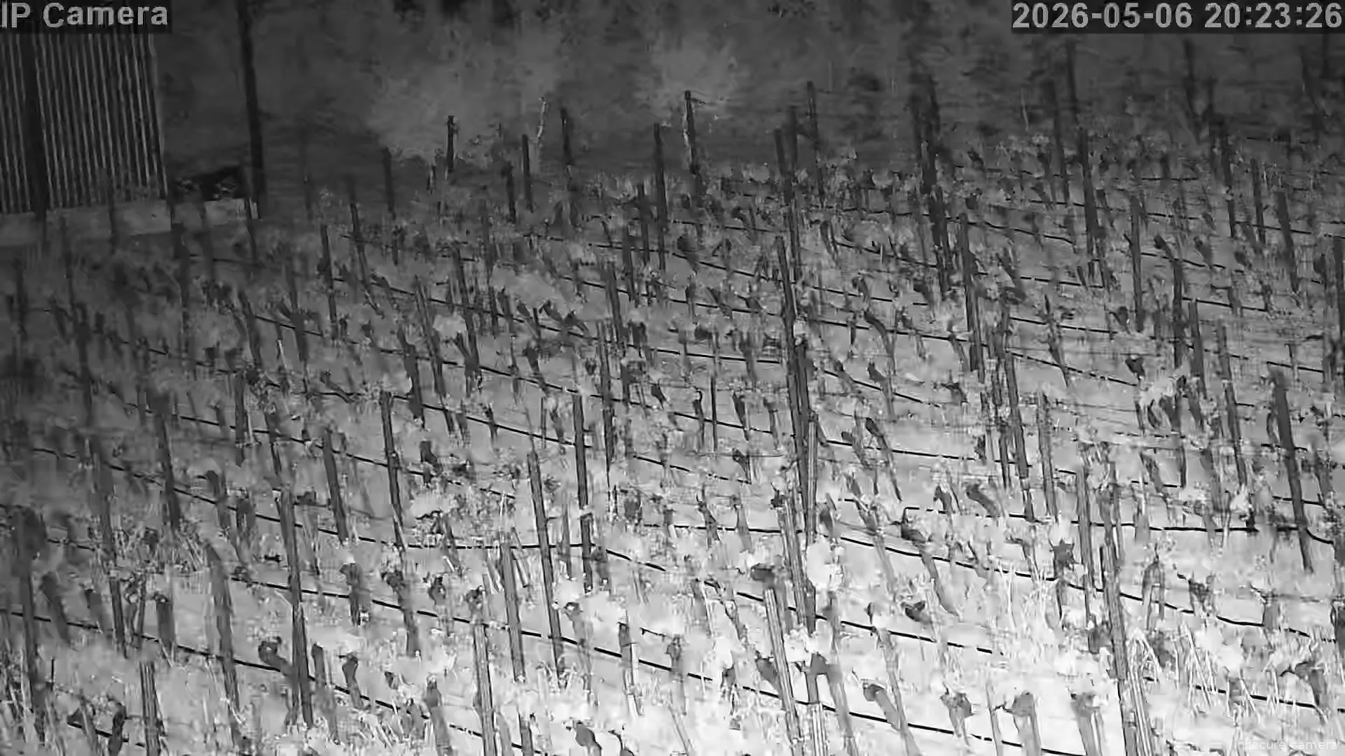Capture from May 06, 2026 at 05:23 PM
