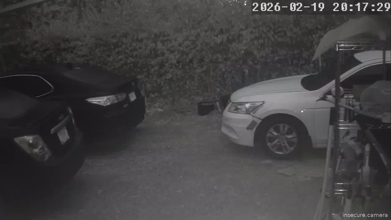 Capture from Feb 19, 2026 at 12:18 PM