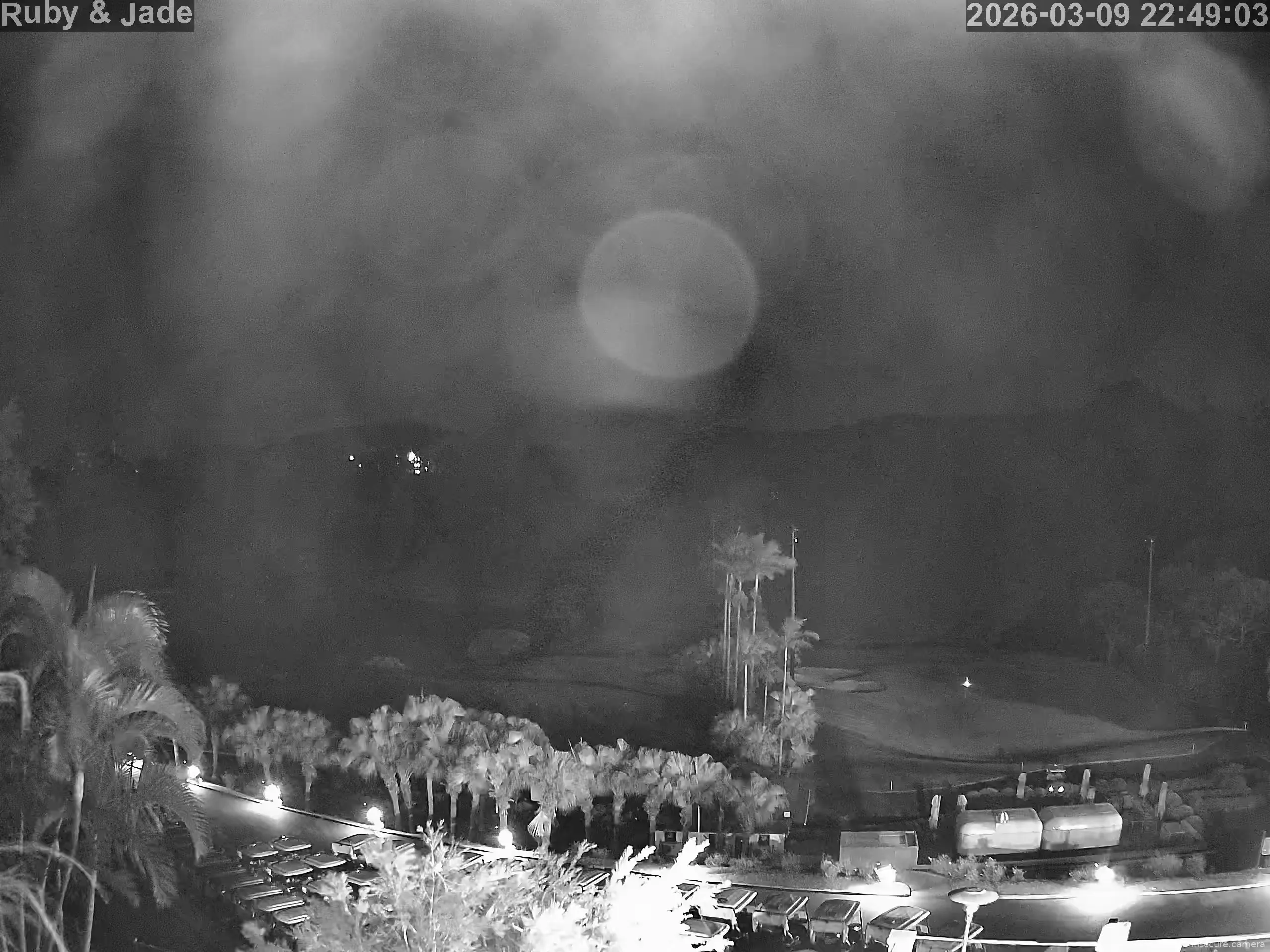 Camera in Hong Kong SAR China