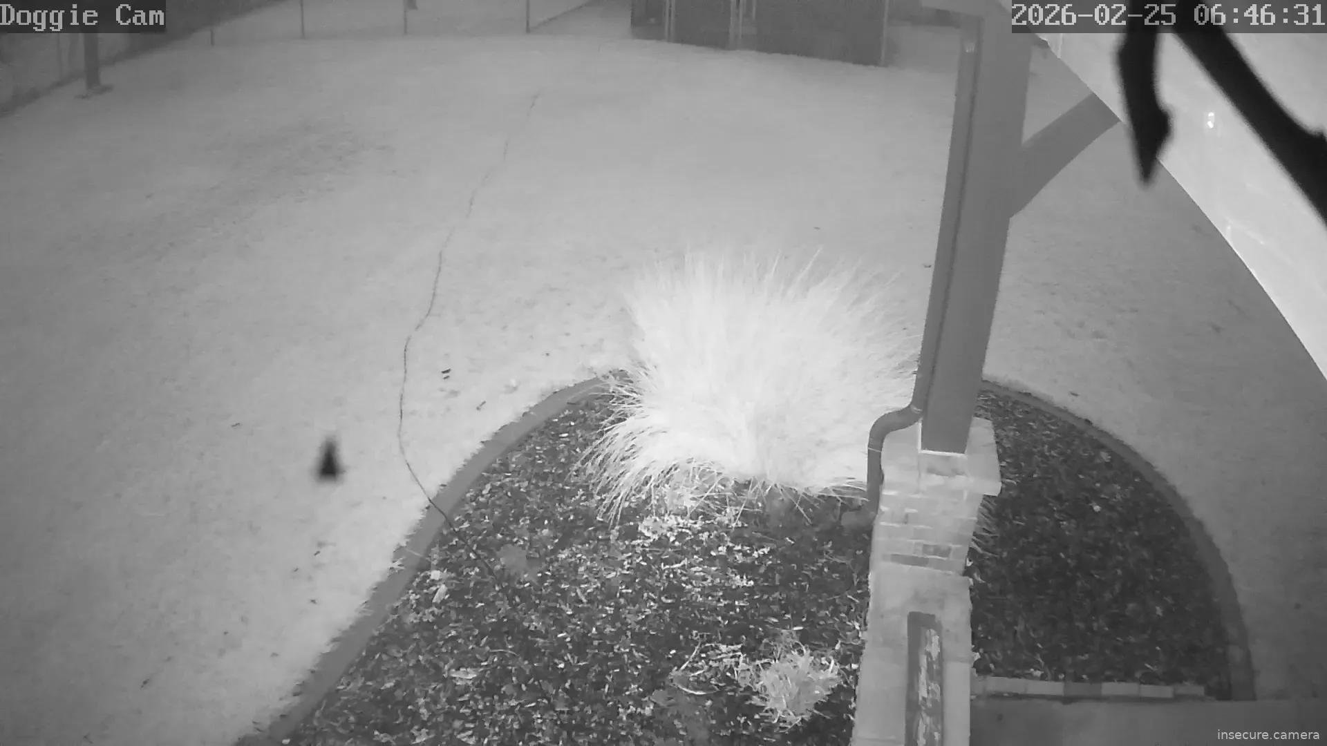 Camera in United States