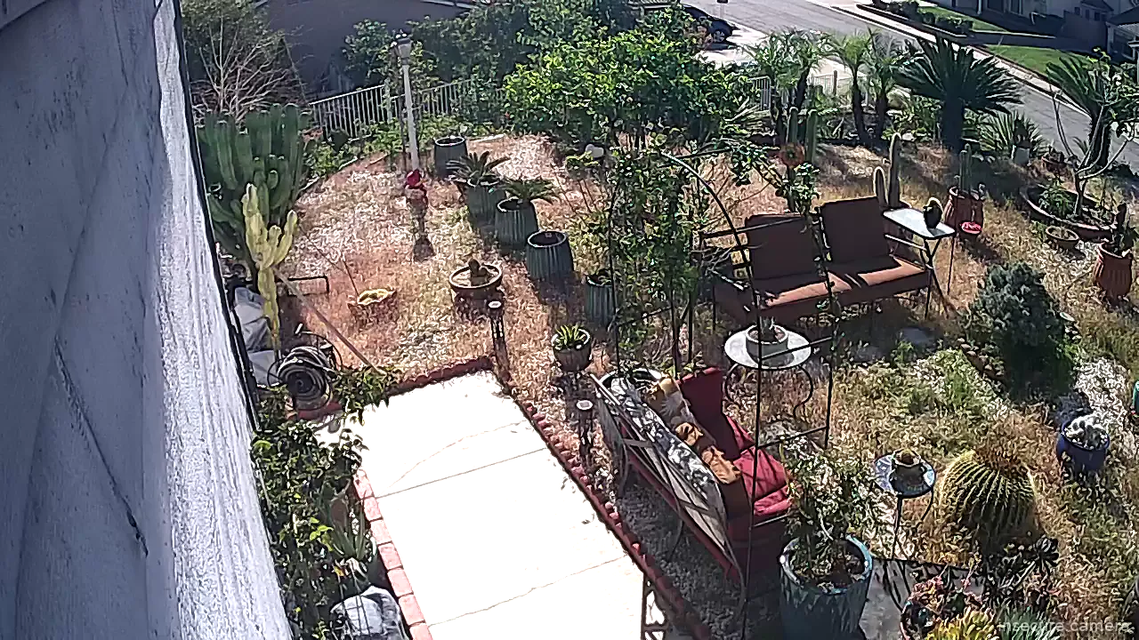 Camera in United States