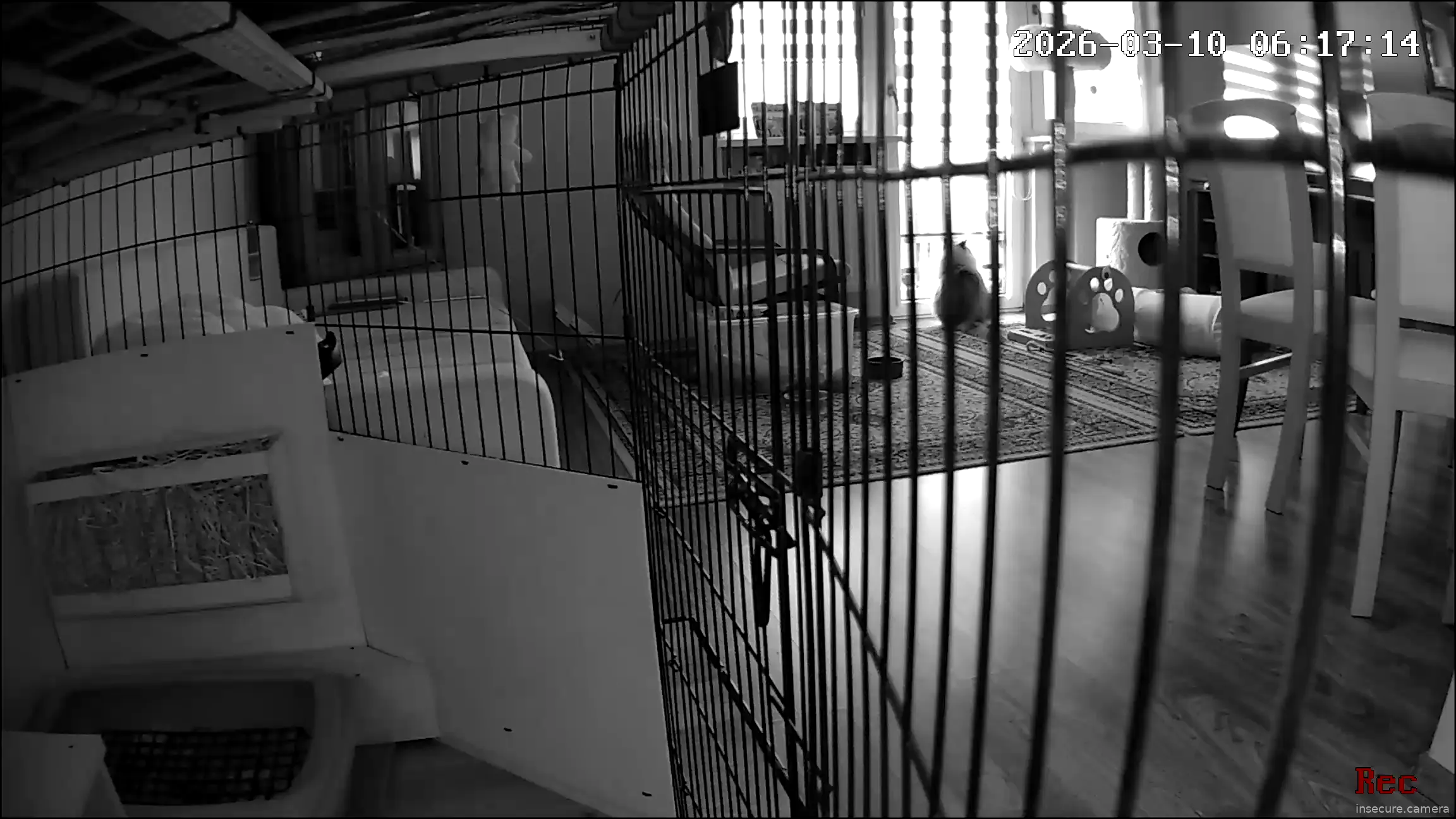 Capture from Mar 10, 2026 at 05:12 AM