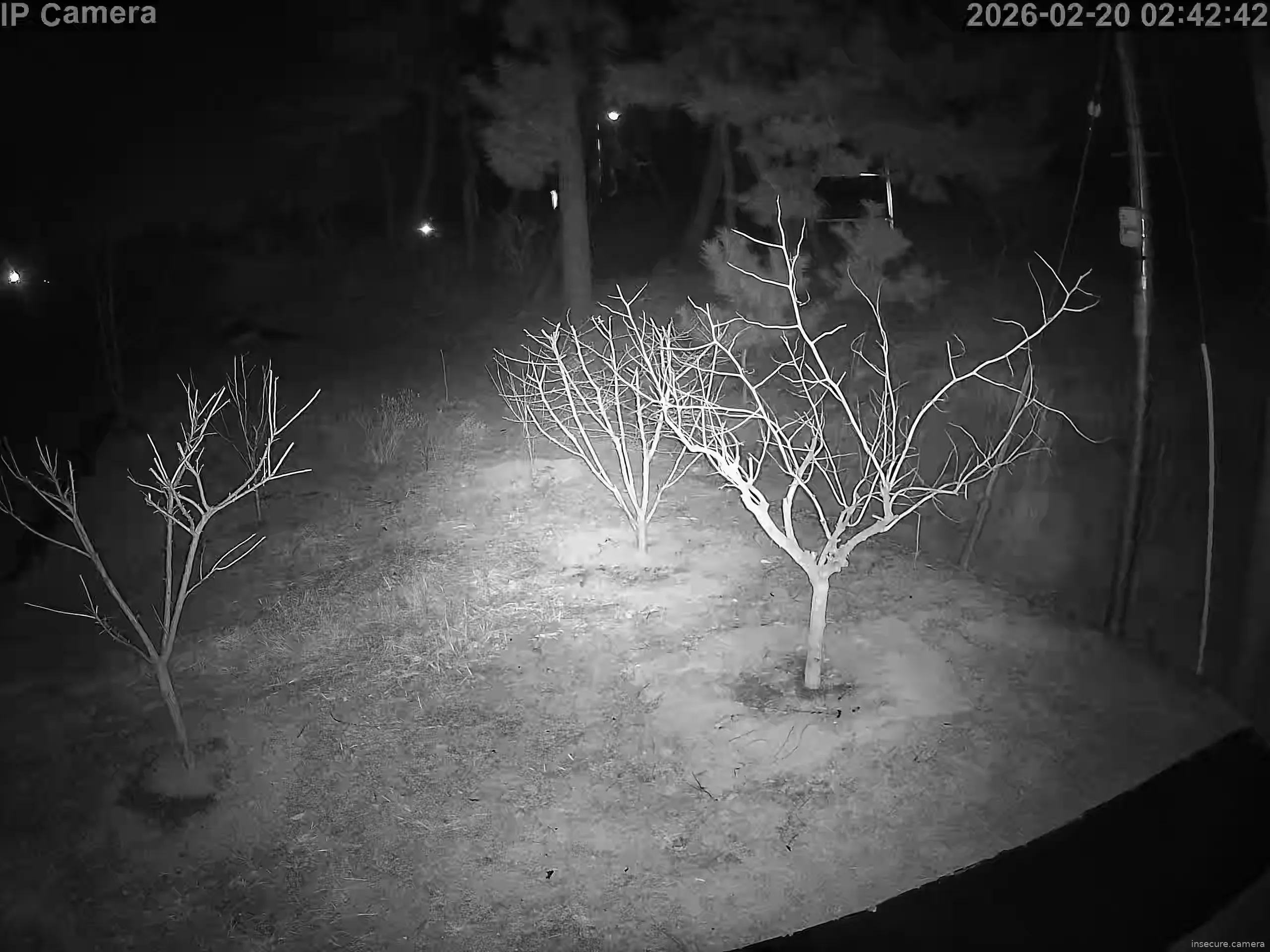 Capture from Feb 19, 2026 at 06:43 PM