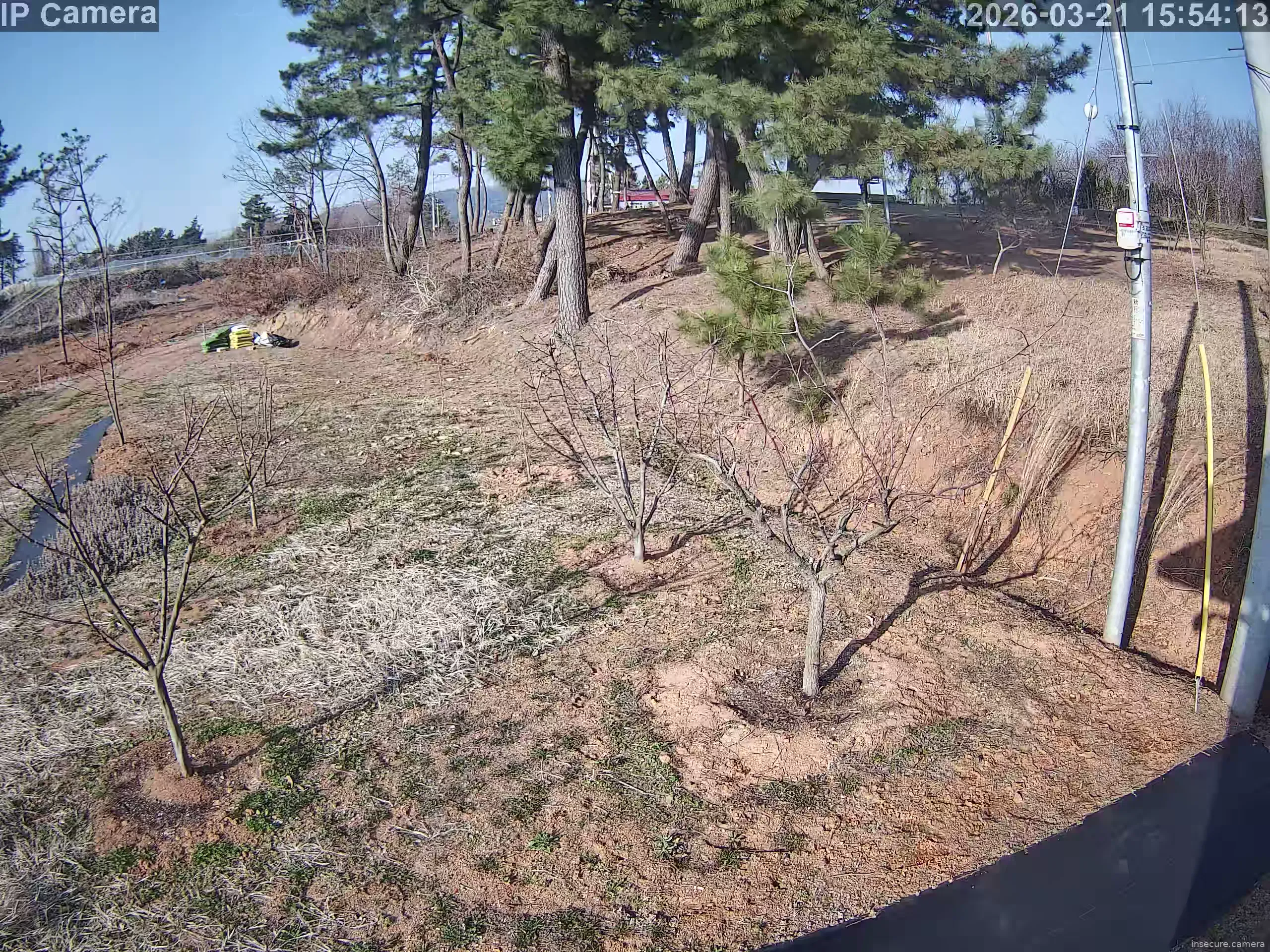 Camera in South Korea