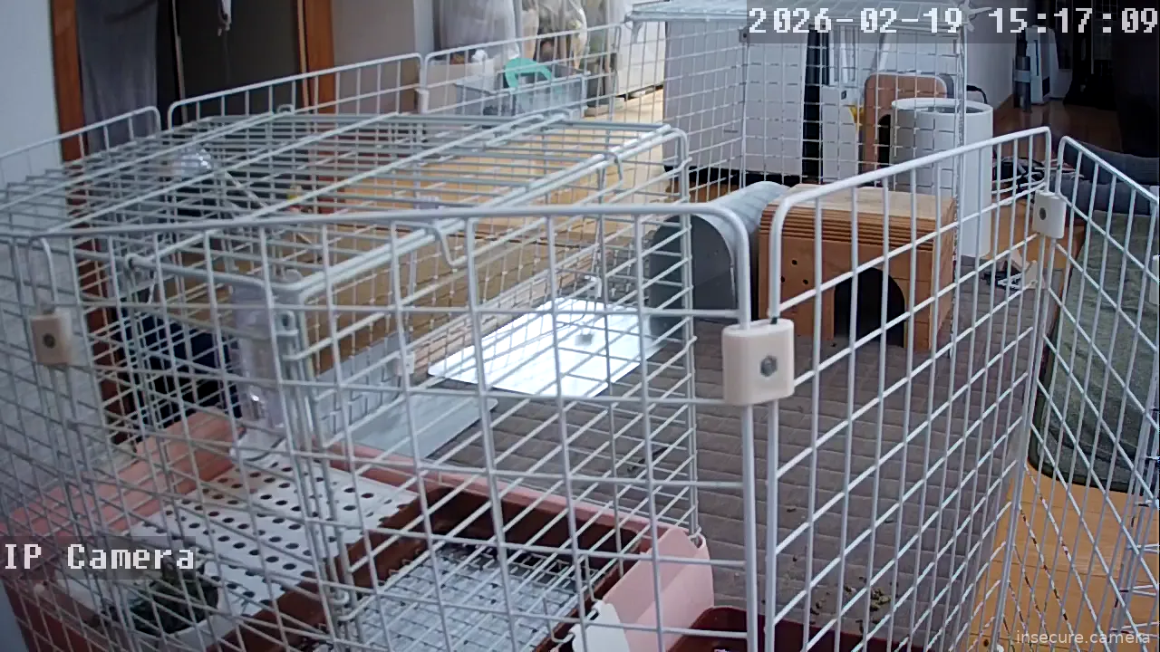 Capture from Feb 19, 2026 at 07:18 AM