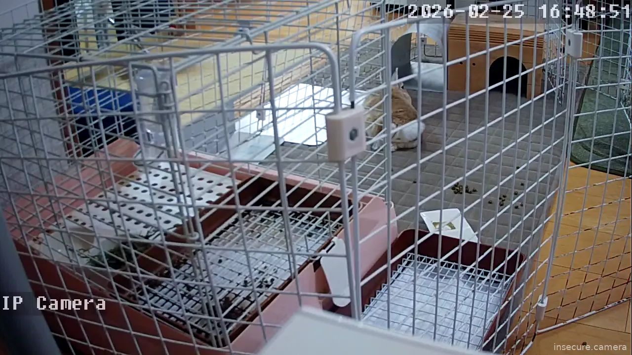 Capture from Feb 25, 2026 at 08:49 AM