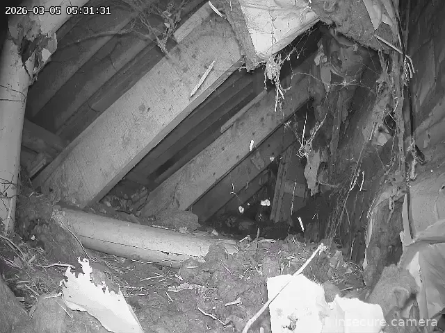 Capture from Mar 05, 2026 at 04:31 AM