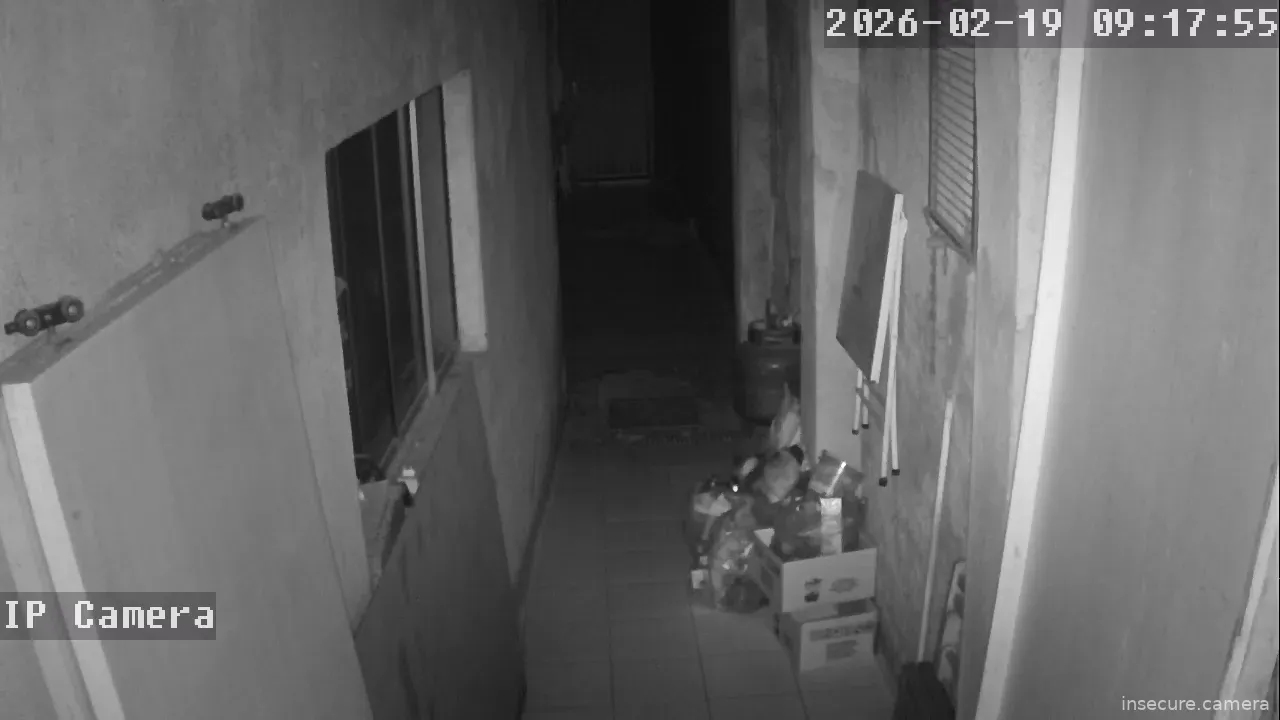 Capture from Feb 19, 2026 at 01:18 AM