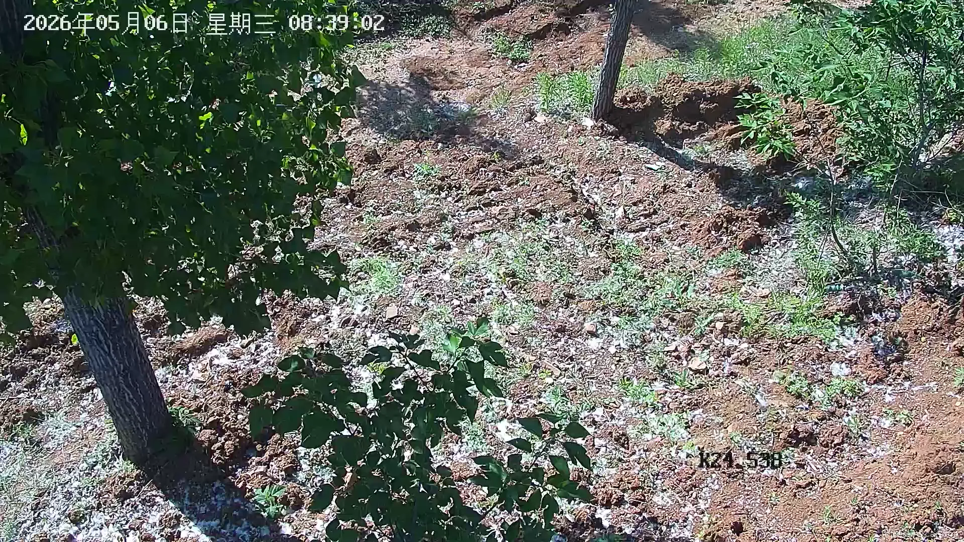 Camera in China