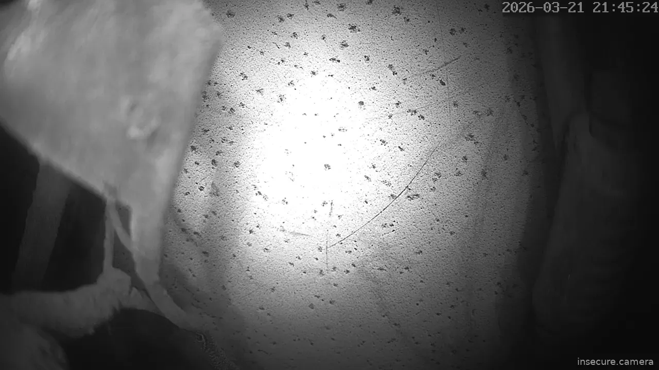 Capture from Mar 21, 2026 at 12:43 PM