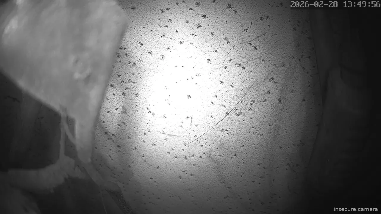 Capture from Feb 28, 2026 at 04:48 AM