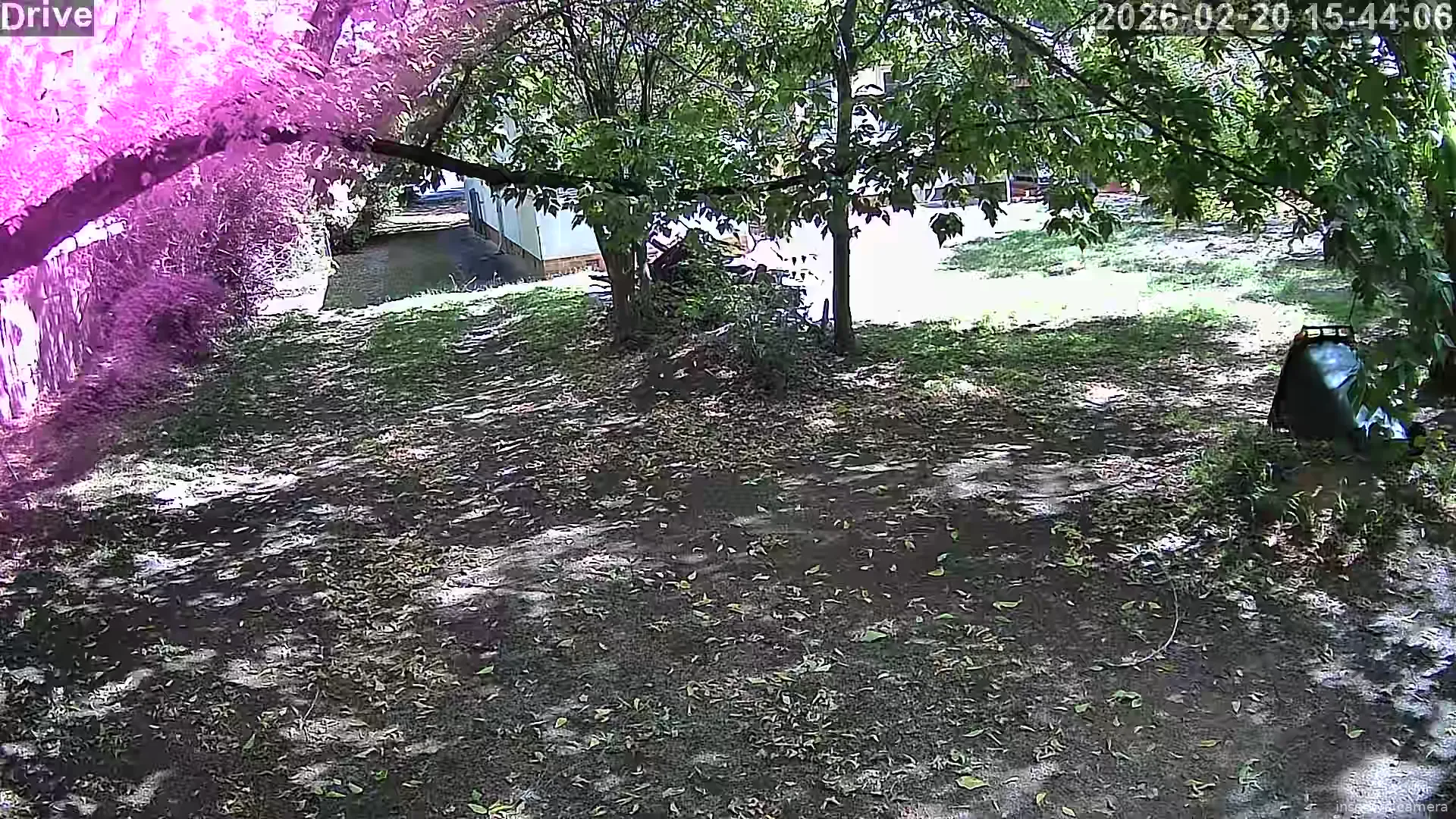 Capture from Feb 20, 2026 at 04:44 AM