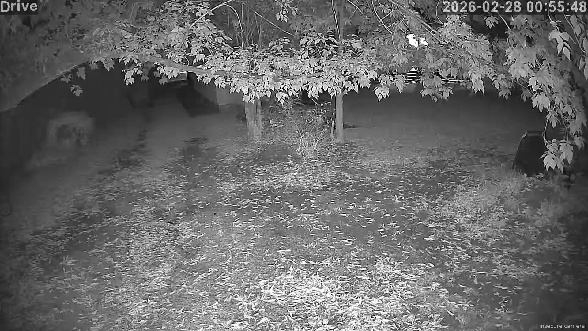 Capture from Feb 27, 2026 at 01:56 PM