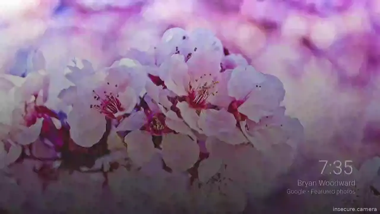 Camera in United States