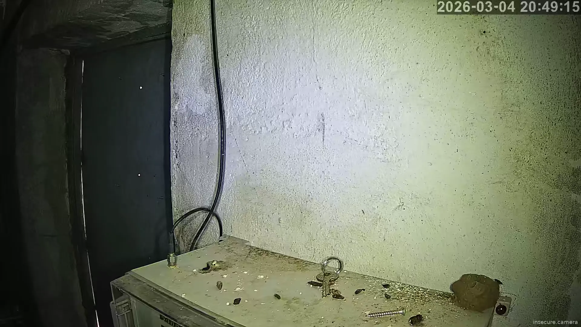 Capture from Mar 04, 2026 at 12:49 PM