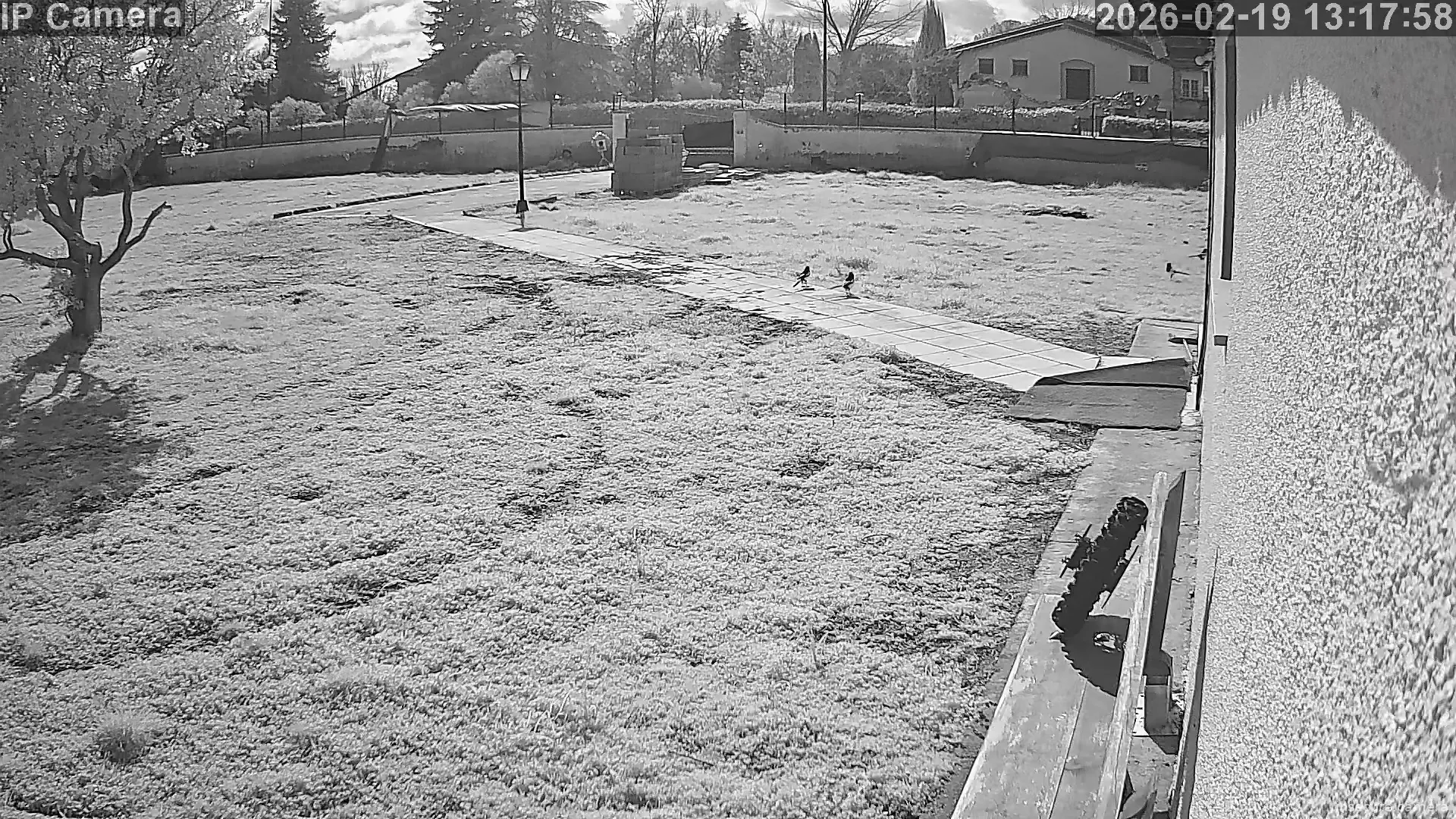 Capture from Feb 19, 2026 at 12:18 PM