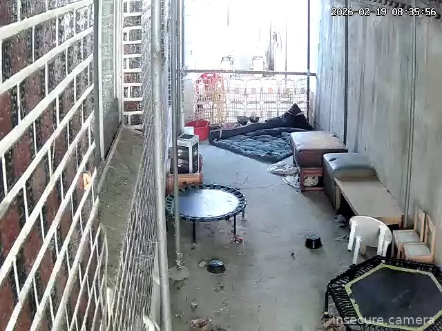 Capture from Feb 19, 2026 at 12:36 AM