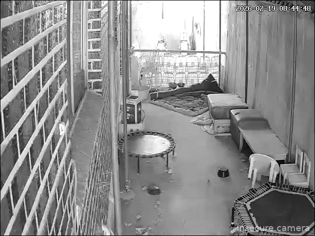 Capture from Feb 19, 2026 at 12:45 AM