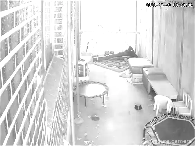 Capture from Feb 19, 2026 at 12:49 AM