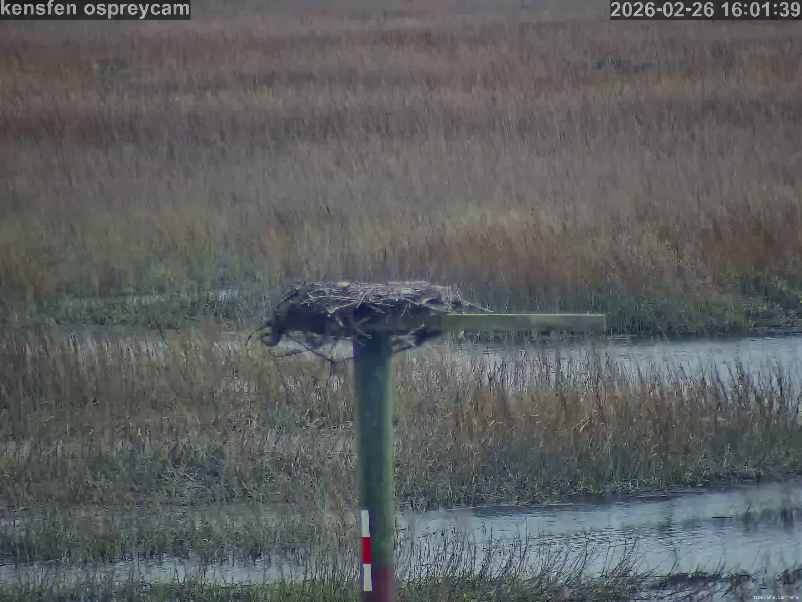 Capture from Feb 26, 2026 at 09:02 PM