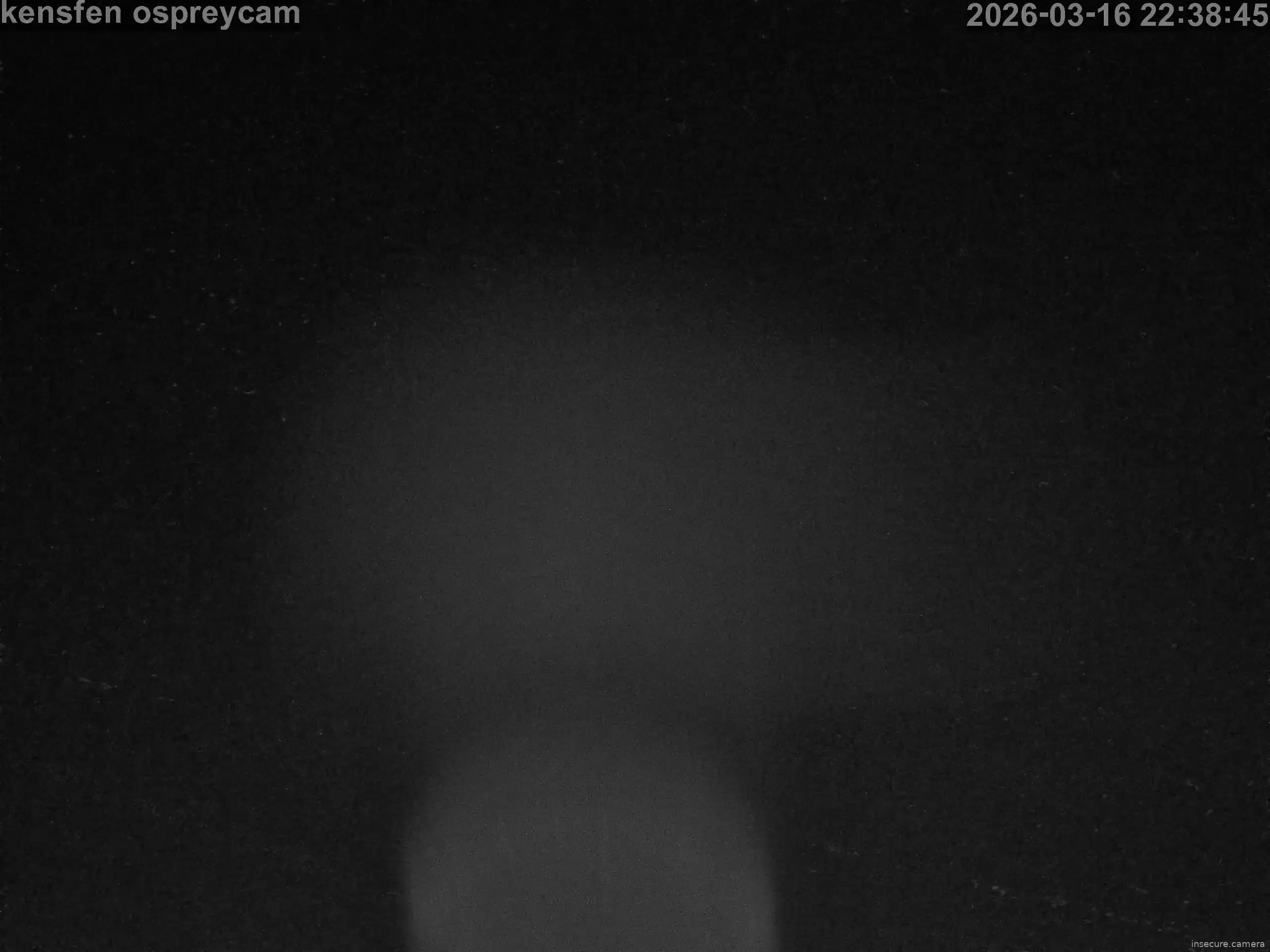 Capture from Mar 17, 2026 at 02:39 AM