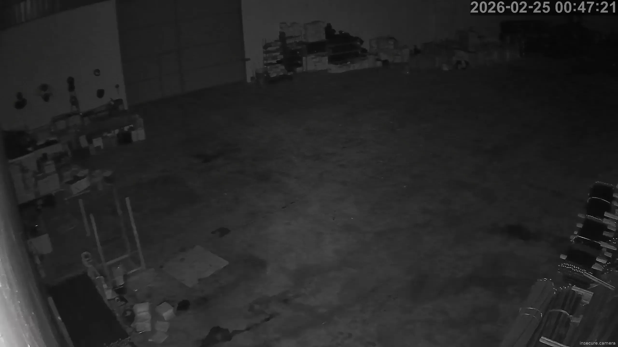 Capture from Feb 25, 2026 at 12:47 AM