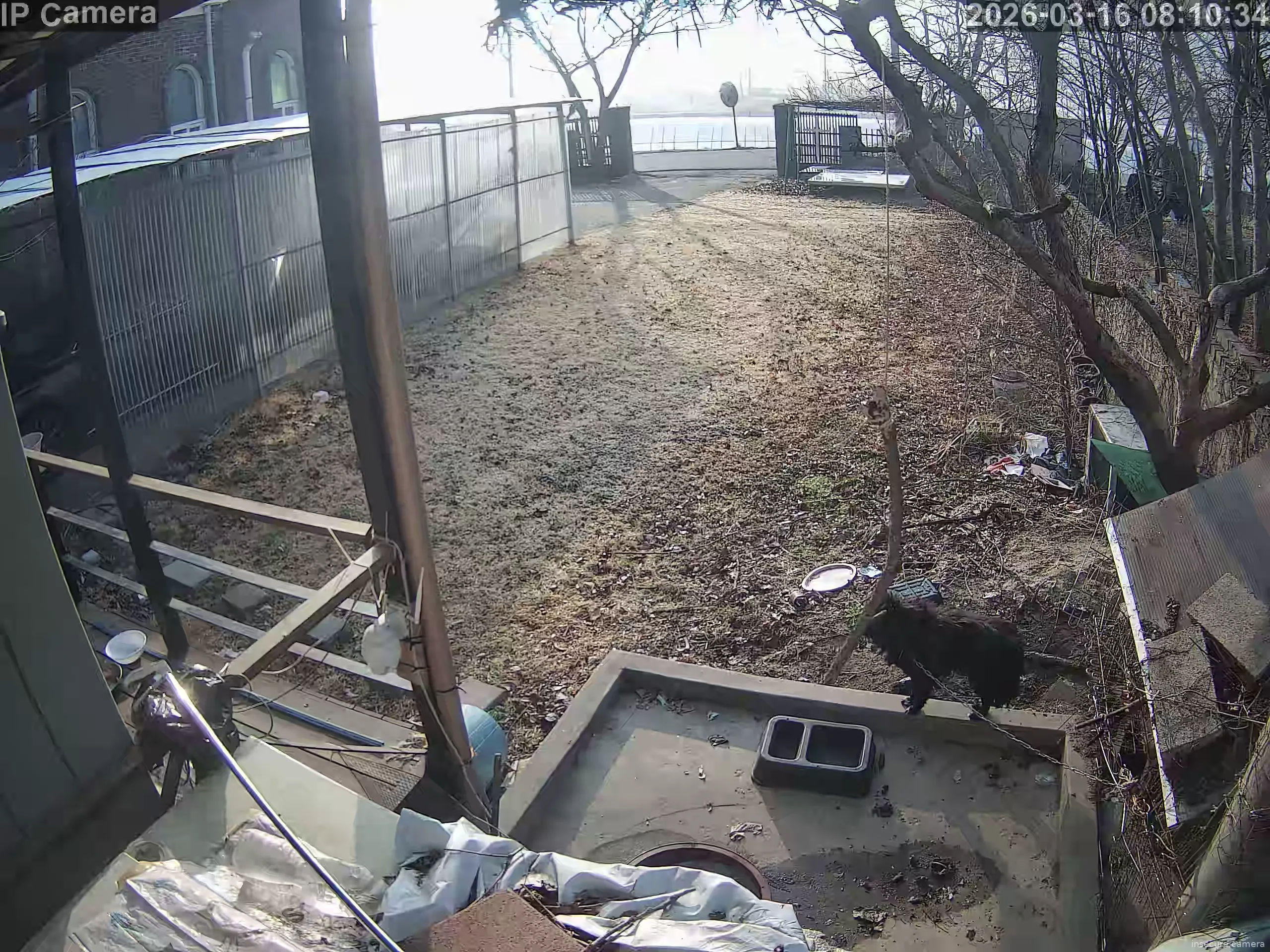 Capture from Mar 15, 2026 at 11:11 PM