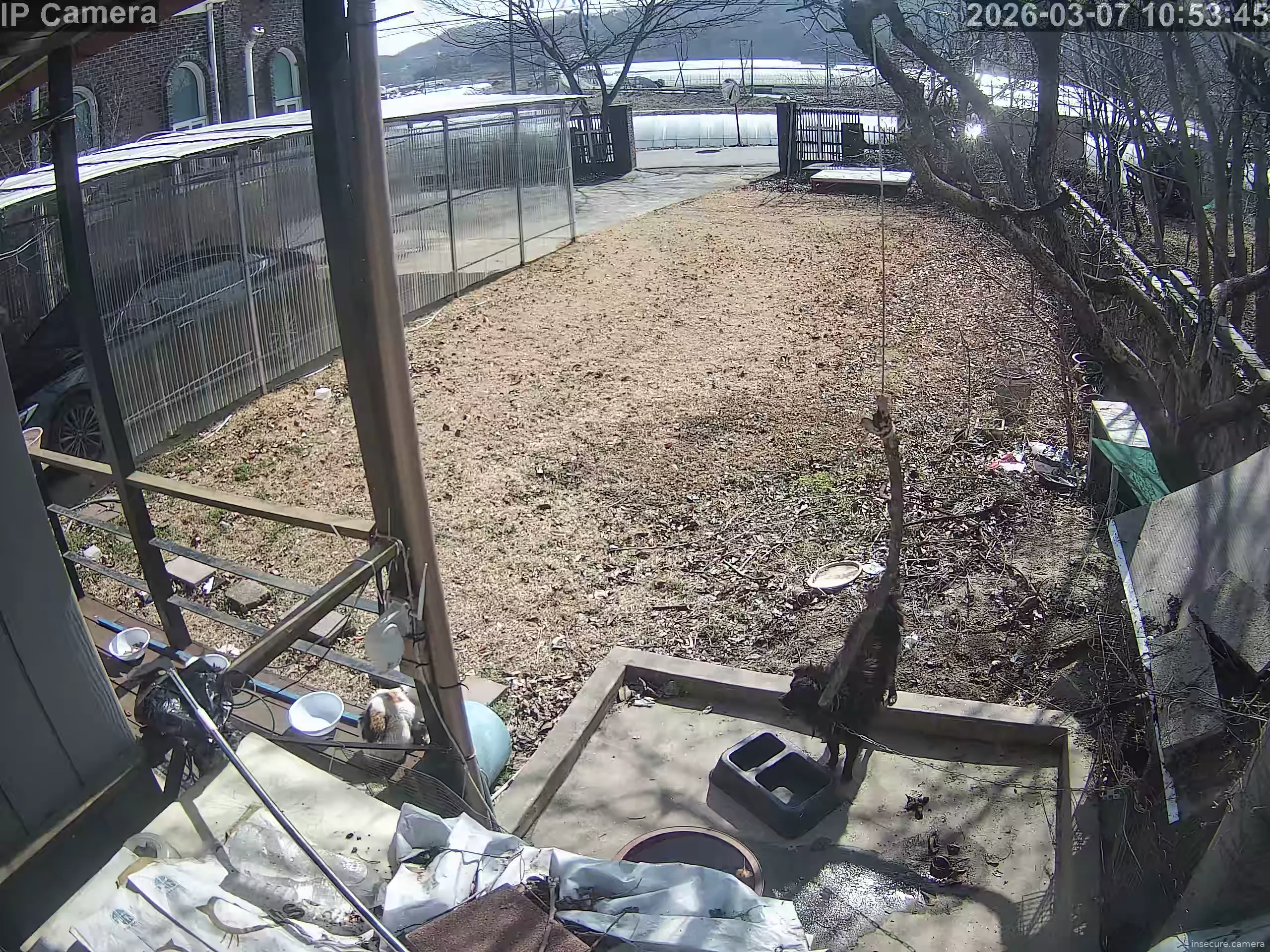 Capture from Mar 07, 2026 at 01:54 AM