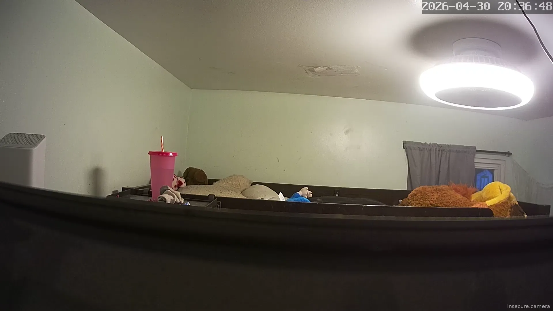 Capture from May 01, 2026 at 12:37 AM