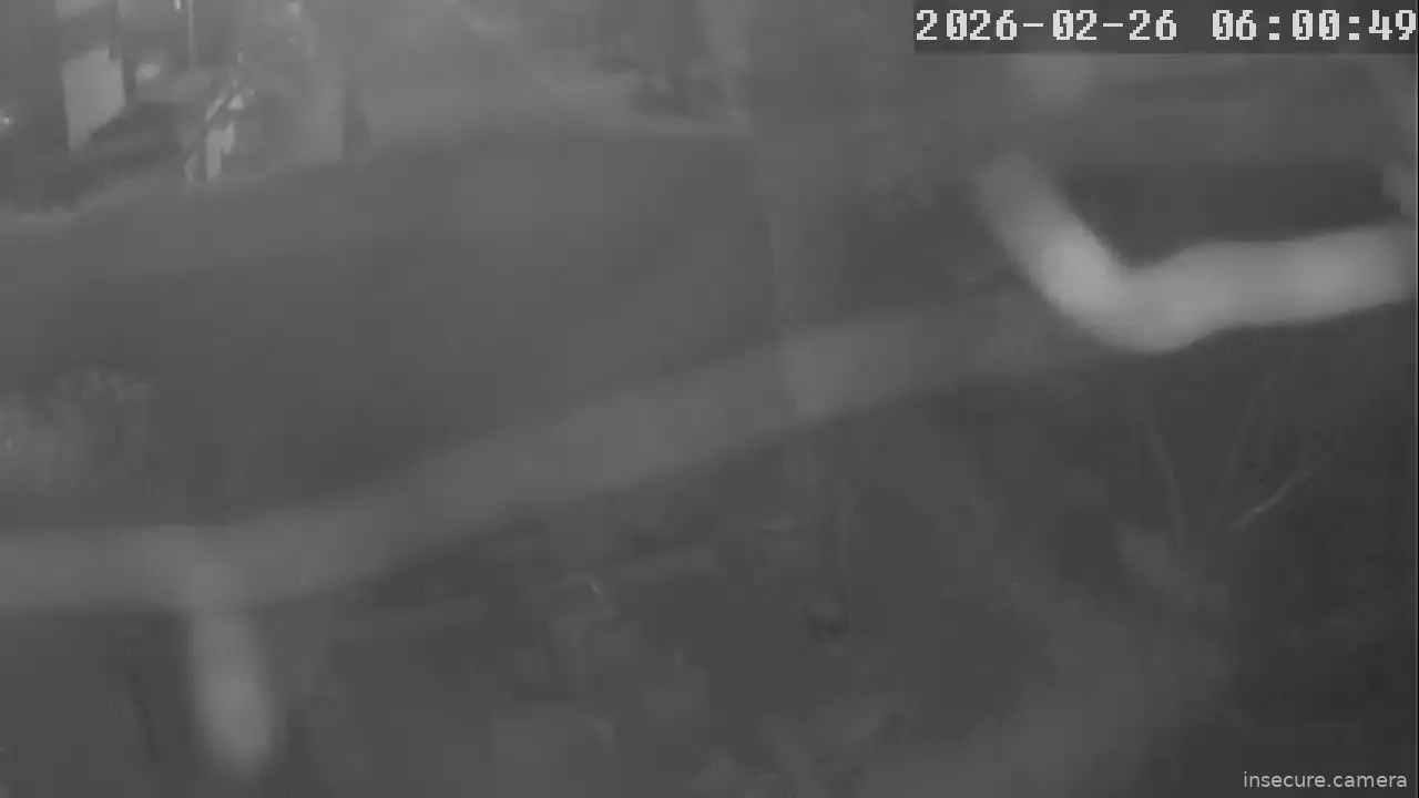 Capture from Feb 25, 2026 at 10:01 PM