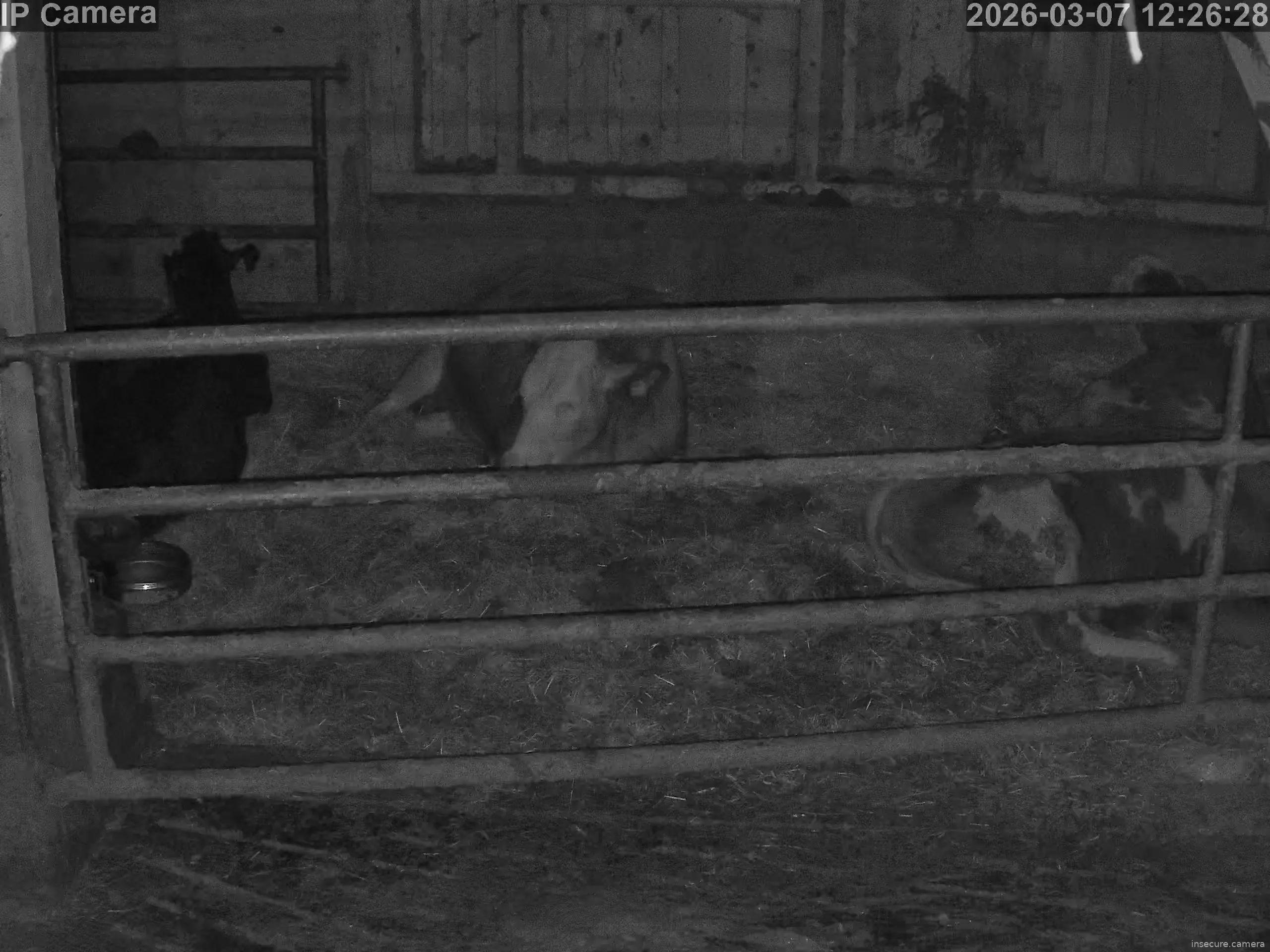 Capture from Mar 07, 2026 at 04:26 AM