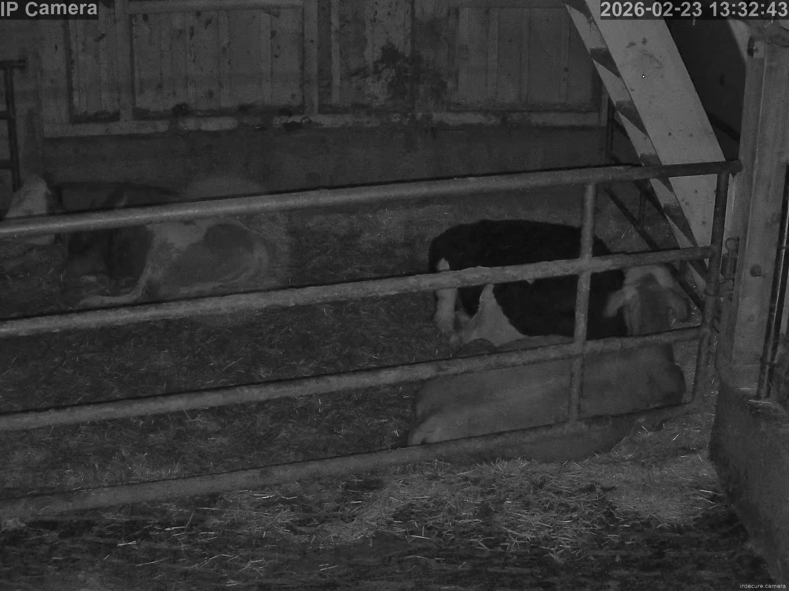 Capture from Feb 23, 2026 at 05:33 AM