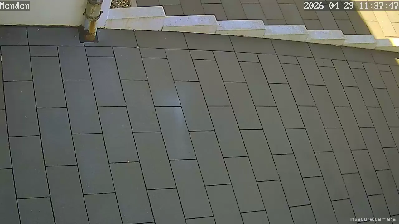 Camera in Germany