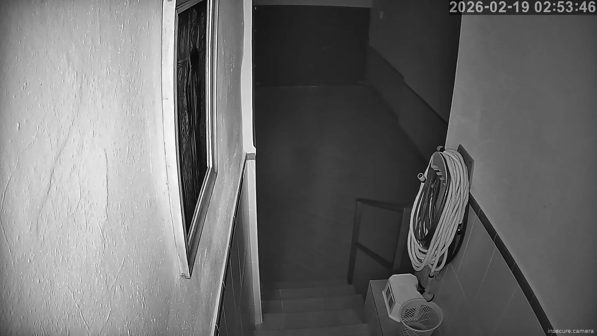 Capture from Feb 19, 2026 at 01:54 AM