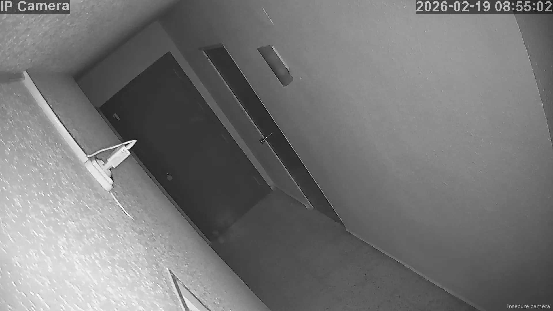 Capture from Feb 19, 2026 at 12:55 AM