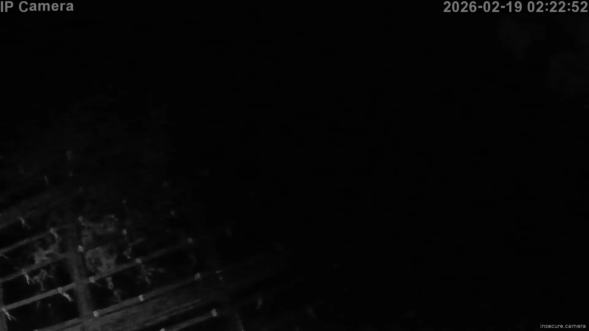 Capture from Feb 19, 2026 at 01:23 AM