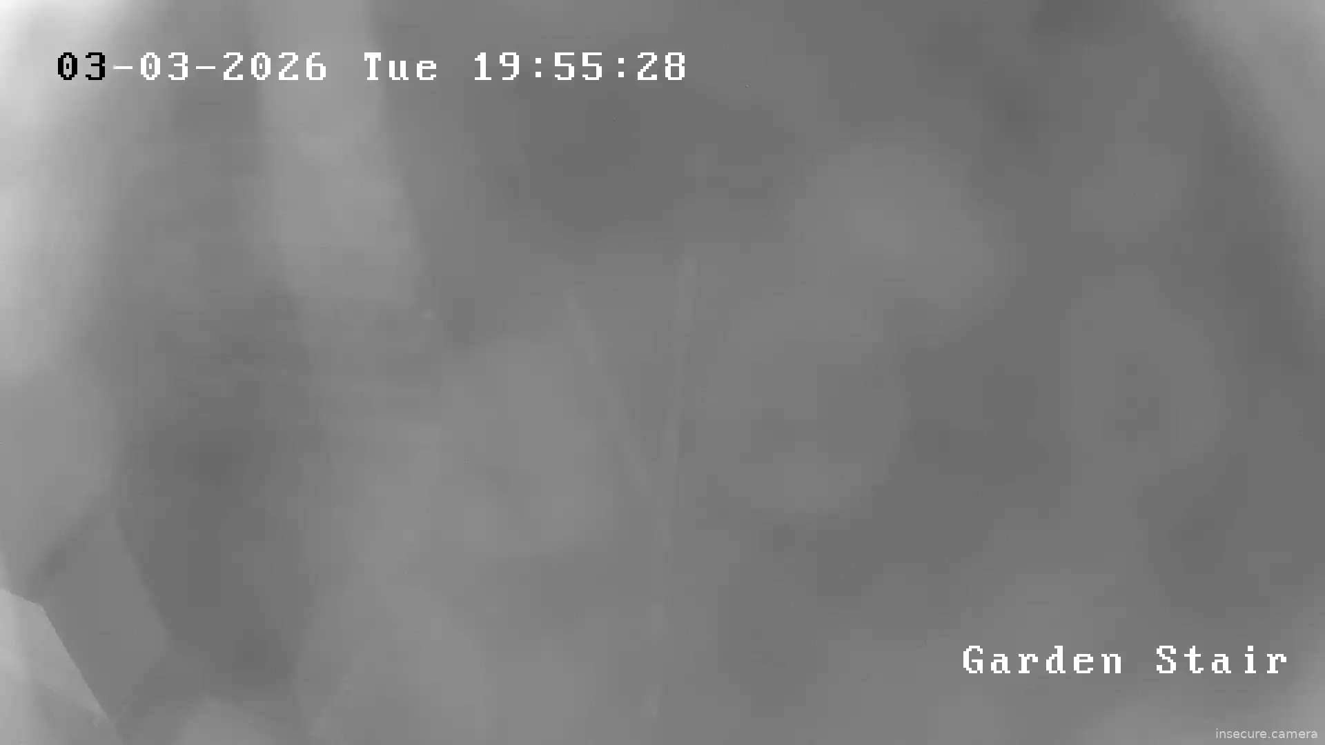 Capture from Mar 03, 2026 at 07:55 PM