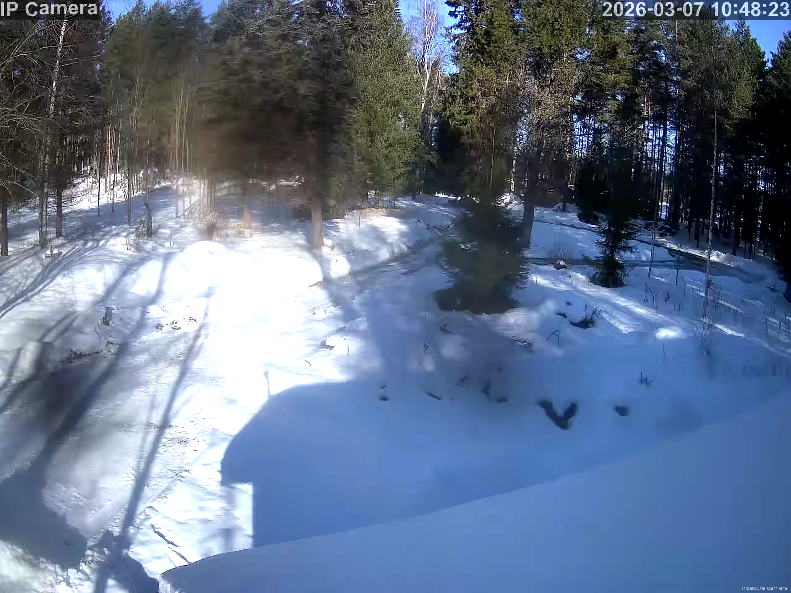 Capture from Mar 07, 2026 at 08:48 AM