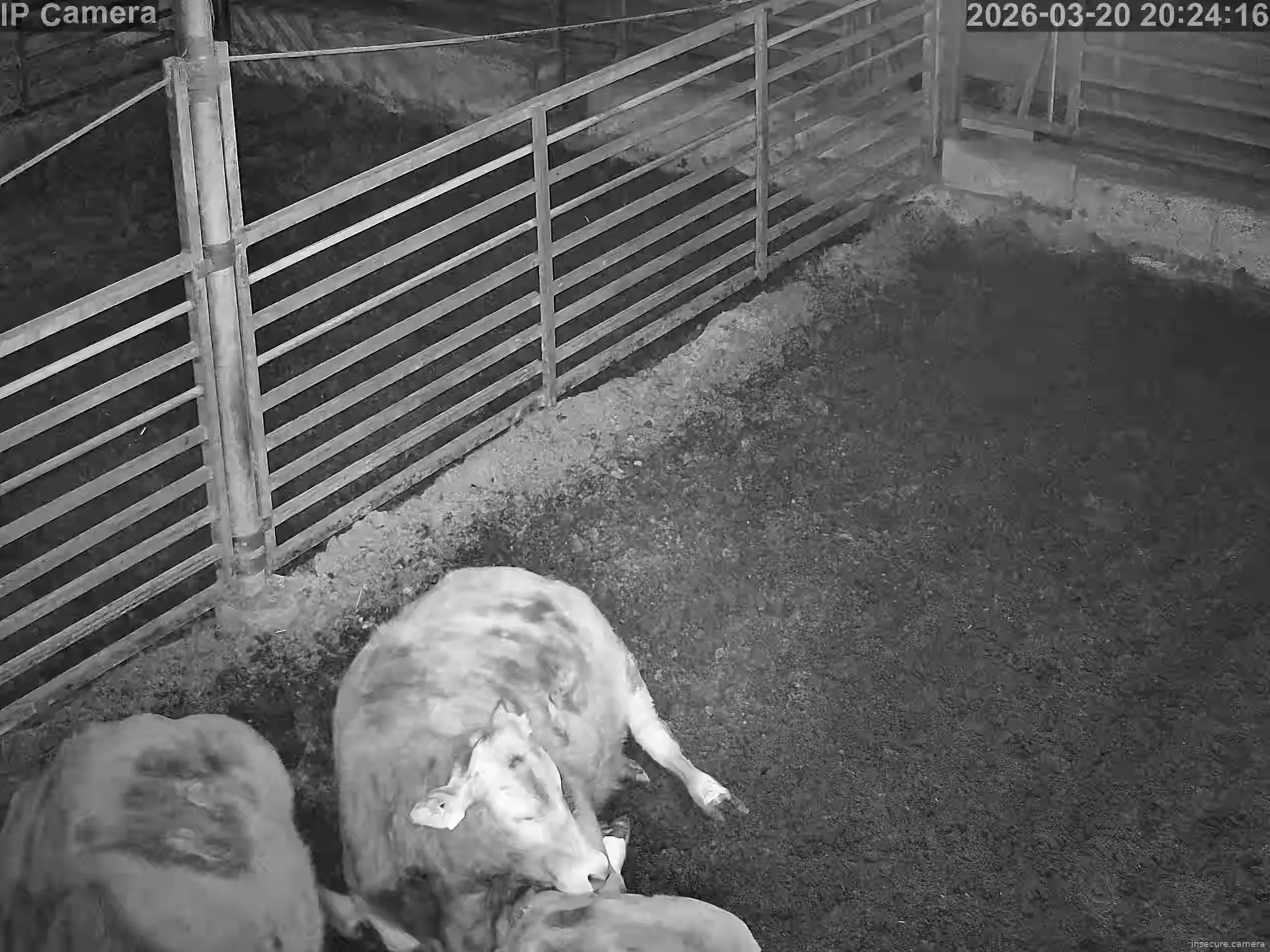 Capture from Mar 20, 2026 at 12:24 PM