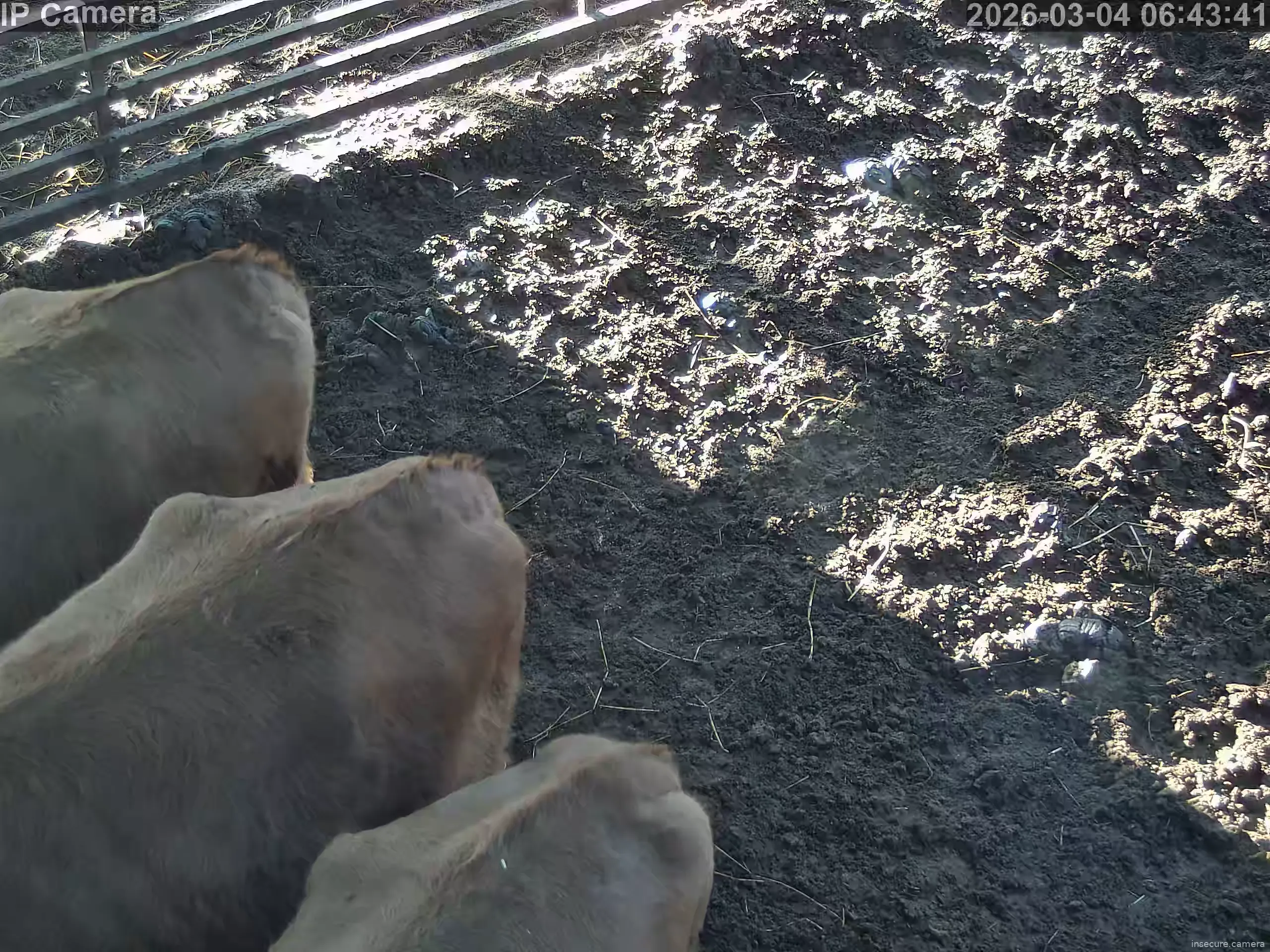 Capture from Mar 03, 2026 at 10:44 PM