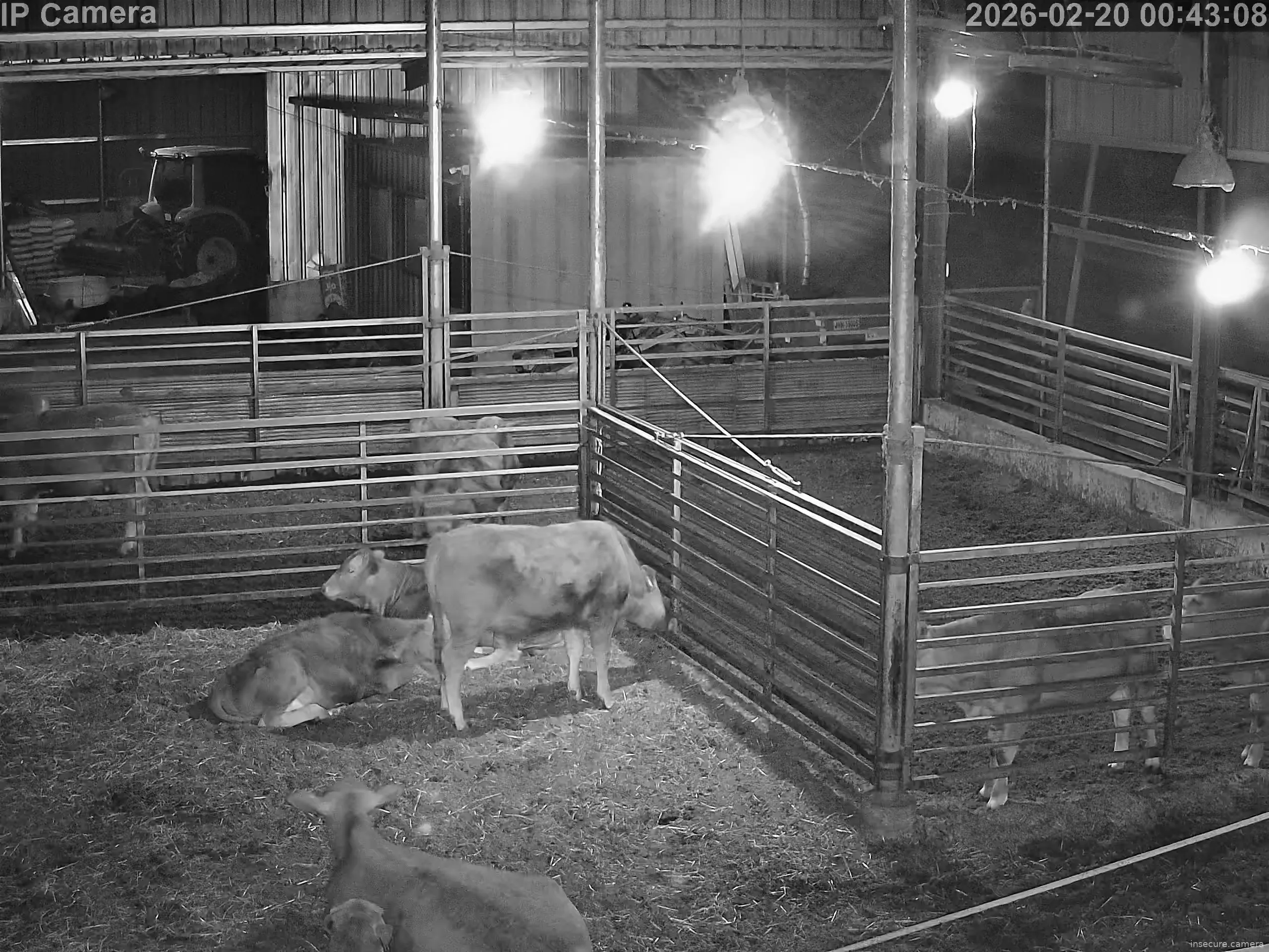 Capture from Feb 19, 2026 at 04:44 PM